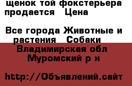 щенок той-фокстерьера продается › Цена ­ 25 000 - Все города Животные и растения » Собаки   . Владимирская обл.,Муромский р-н